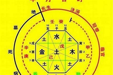 如何計算自己五行|生辰八字算命、五行喜用神查詢（免費測算）